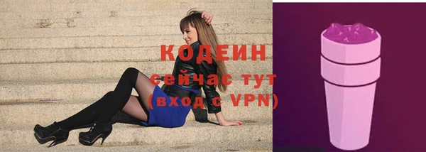 дживик Мегион