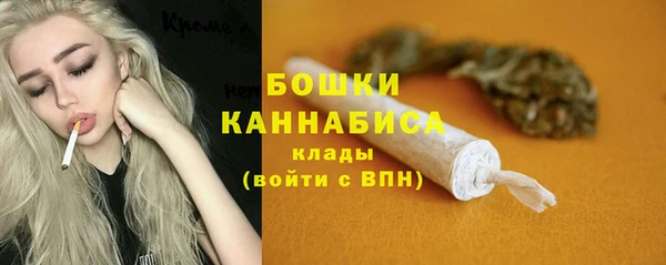ECSTASY Медногорск