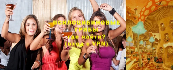 ECSTASY Медногорск